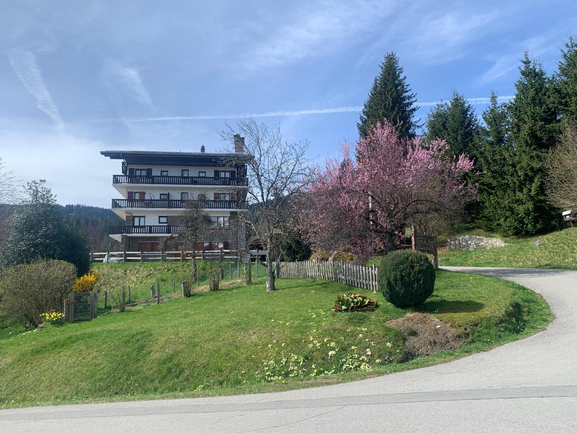 Appartement T2 Pour 6 Personnes A Combloux Exteriör bild